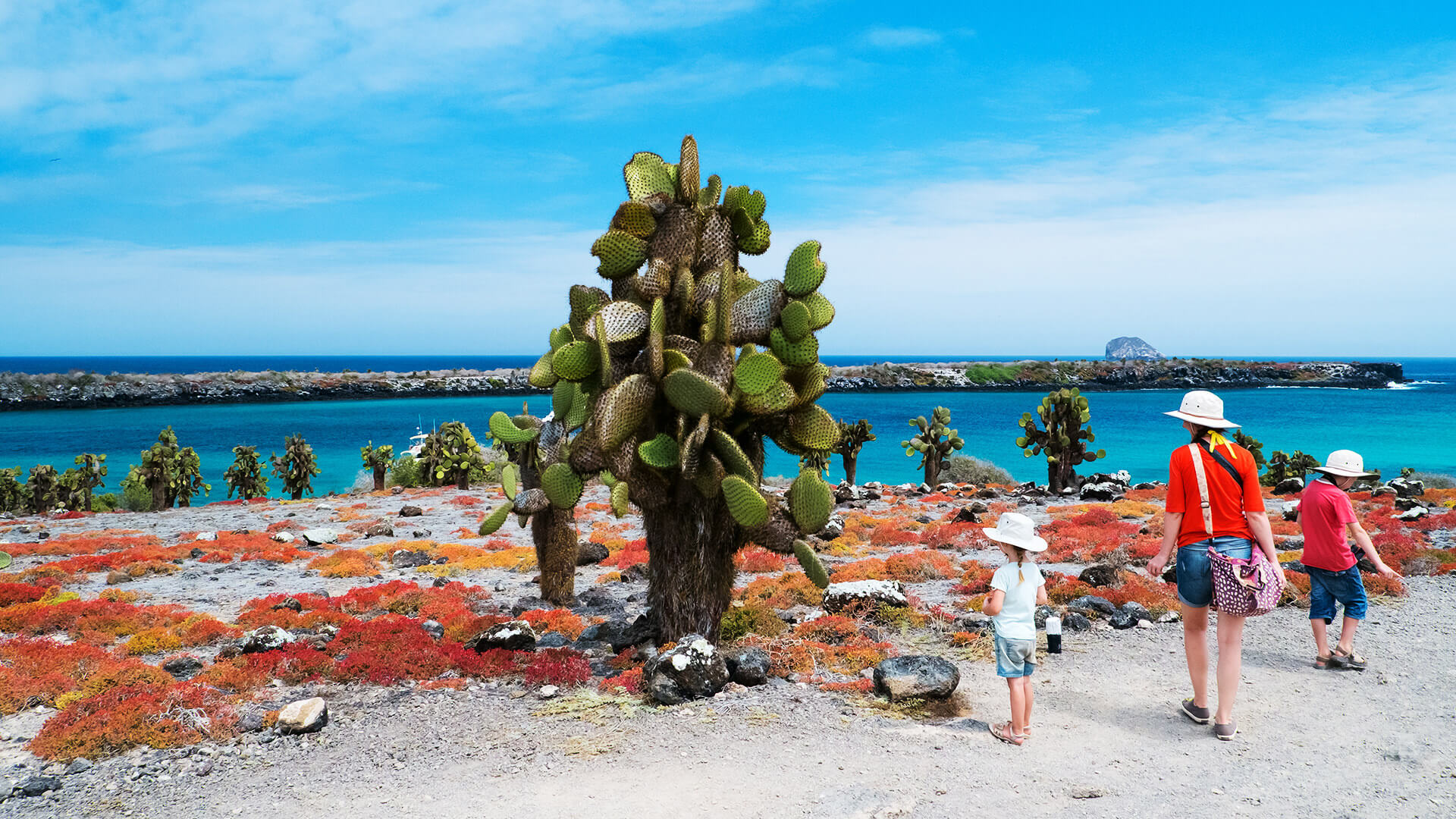 Paisagem das Ilhas Galápagos com mar azul e vegetação vulcânica